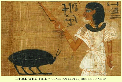 guardian beetle